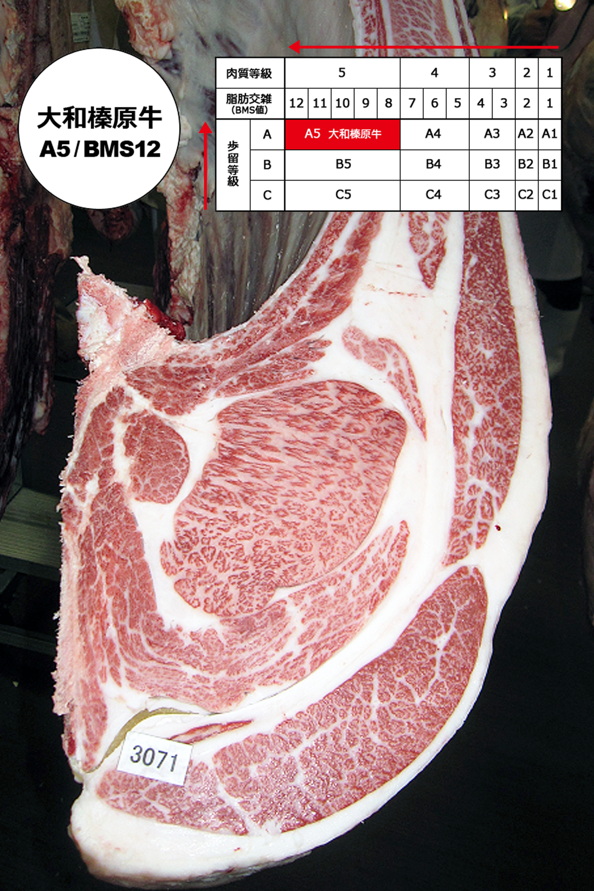 日本食肉格付協会の格付け